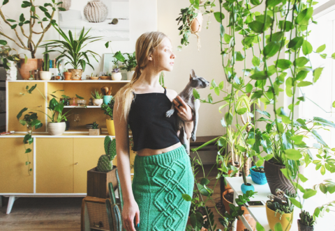 Pokojovky podle feng šuej: Kde je správně umístit, aby kvetly i vaše nervy